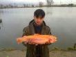 25012011.jpg